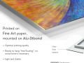 z20_015h2-galerie-d-art-en-ligne-Papillon-Dibond-EN