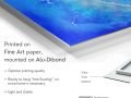 z20_049h2-art_nature-Alliance_21-Dibond-EN
